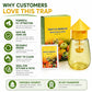 ❄️Zomerfresh 50% Korting!🌿Herbruikbare Vliegenval met Lokstof – Insecticidevrije Fruitvliegenvanger voor Keuken, Terras & Tuin